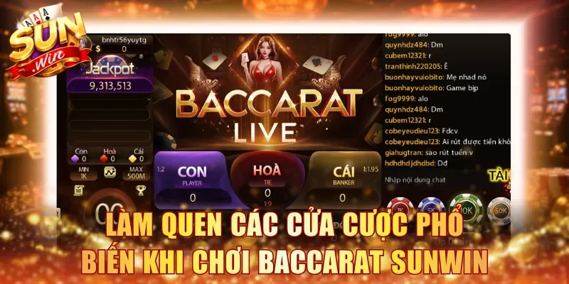 Làm quen các cửa cược phổ biến khi chơi Baccarat Sunwin